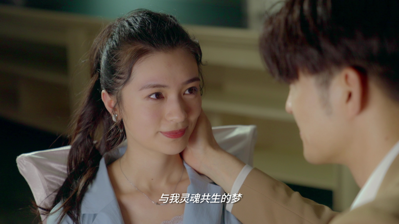 赘婿无双 15集