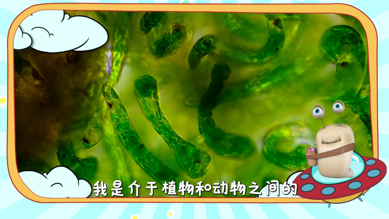 白白侠的微生物朋友 10集