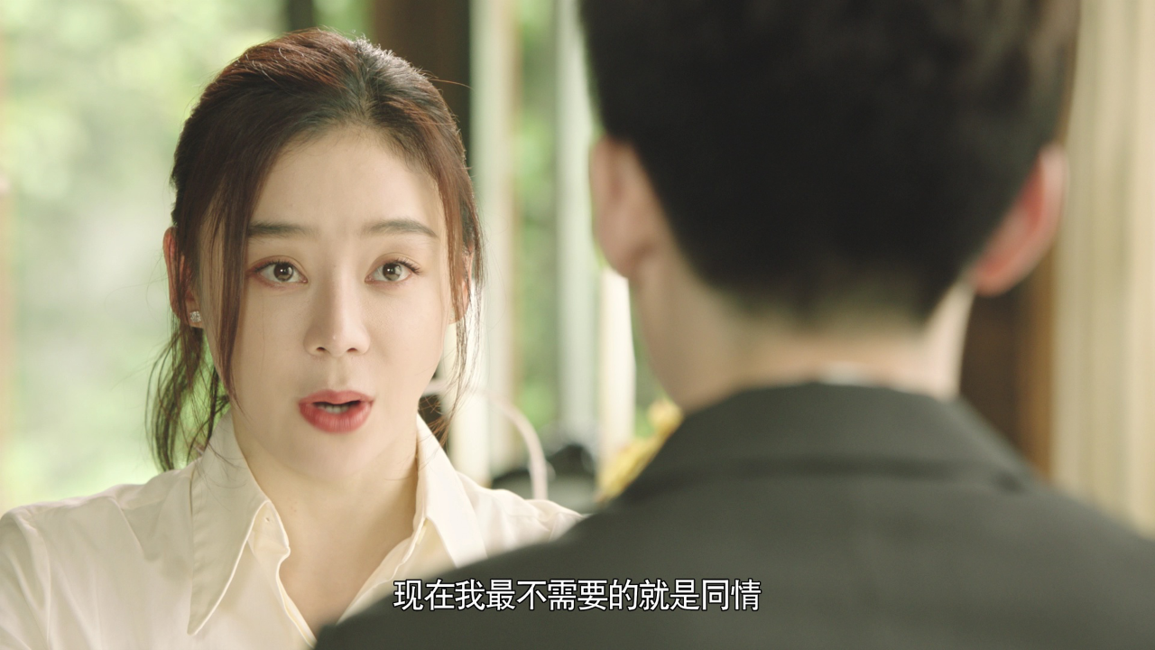 妻子的新世界 12集