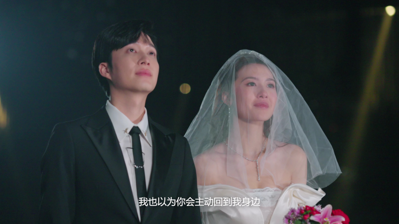 从离婚开始的爱情 22集
