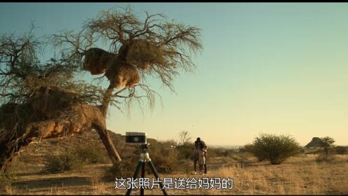 荒野狂兽（普通话版）__高清完整版视频在线观看_腾讯视频