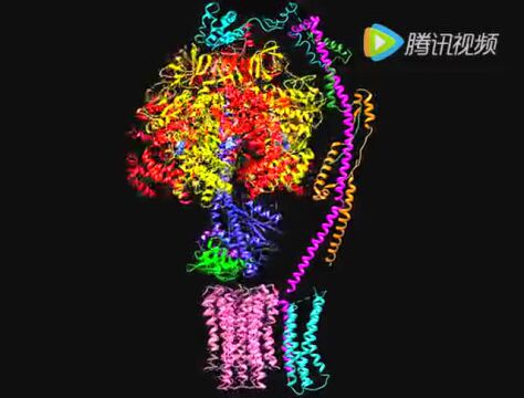 ATP合酶新旋转催化机制_腾讯视频