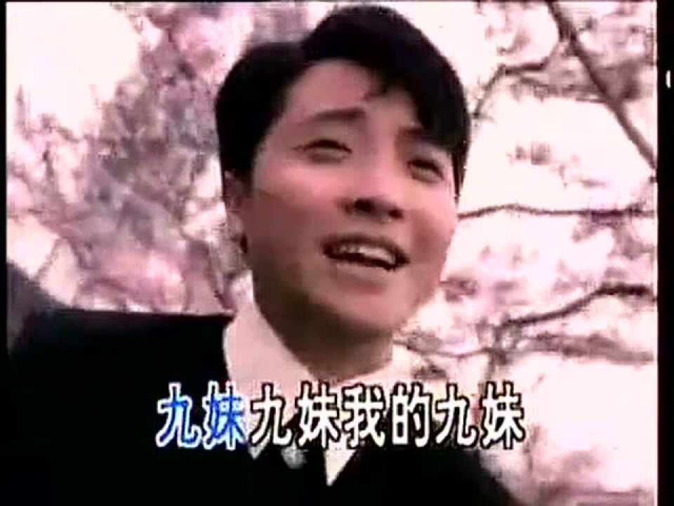 95年脍炙人口的老歌《九妹》原版MV女主角竟然是谢娜_高清1080P在线观看平台_腾讯视频