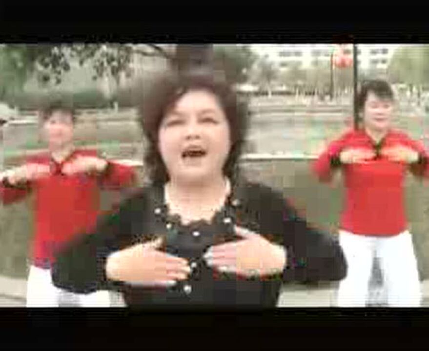 太极十二拍教学_高清