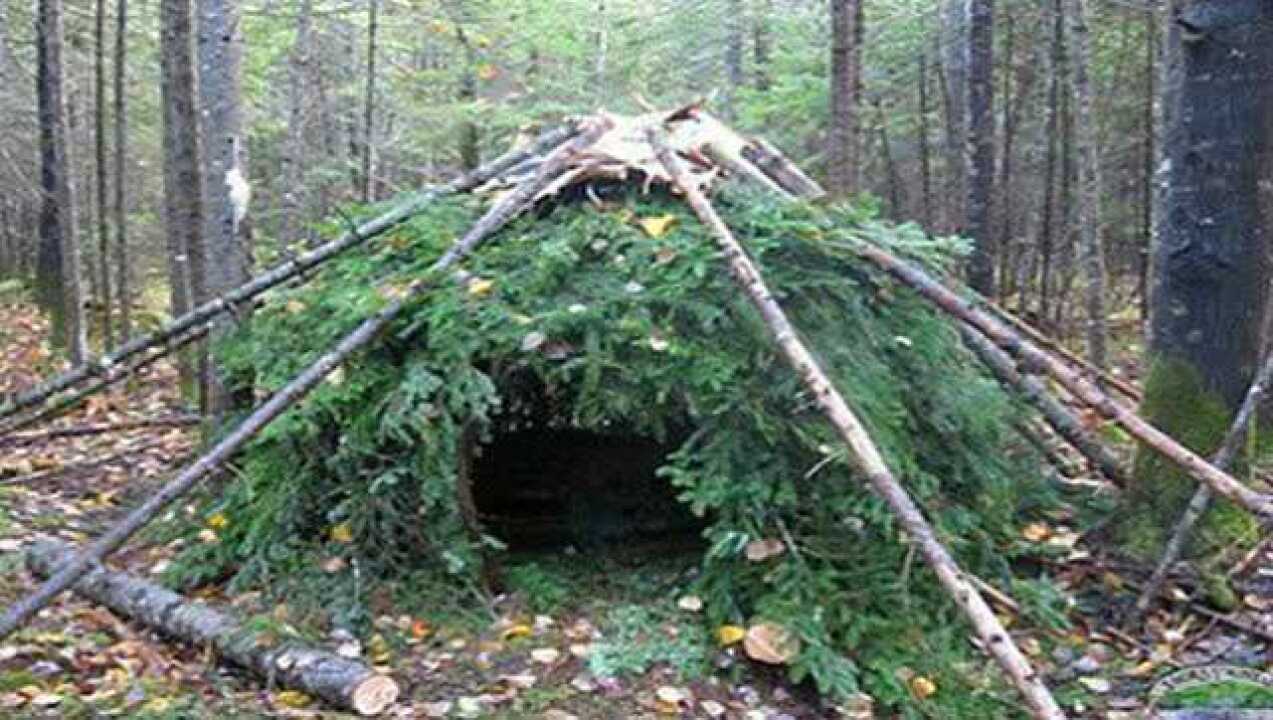 在野外如何搭建一所理想的庇护所_高清1080P在线观看平台_腾讯视频
