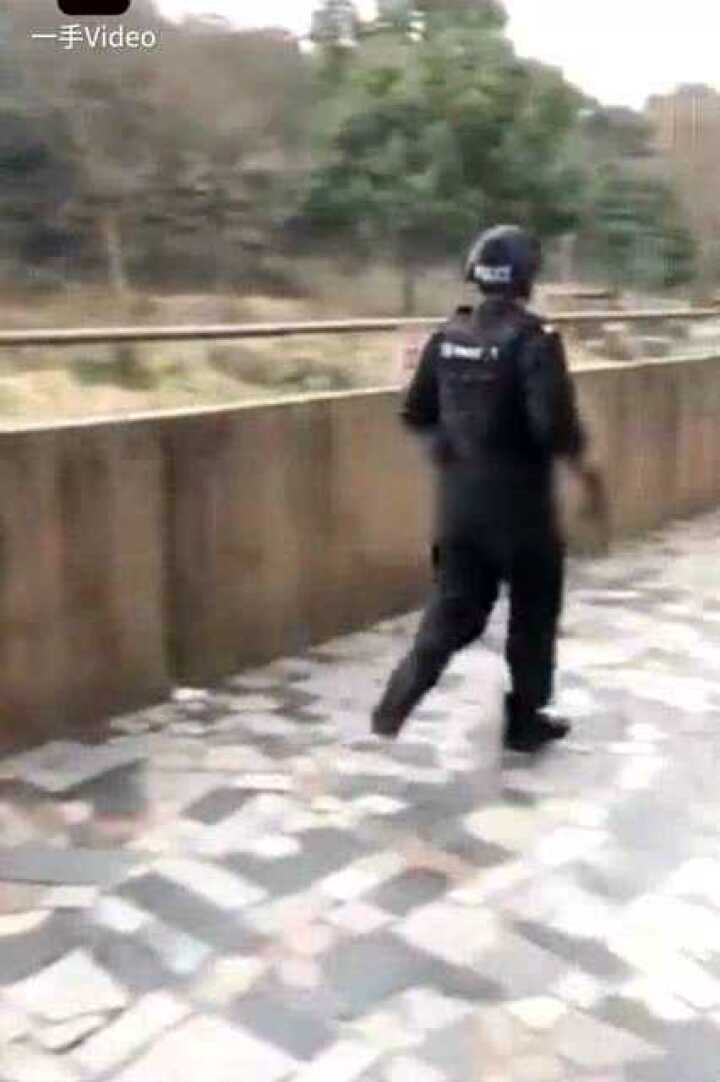宁波老虎咬人事件最新视频，实拍警察击毙老虎_高清