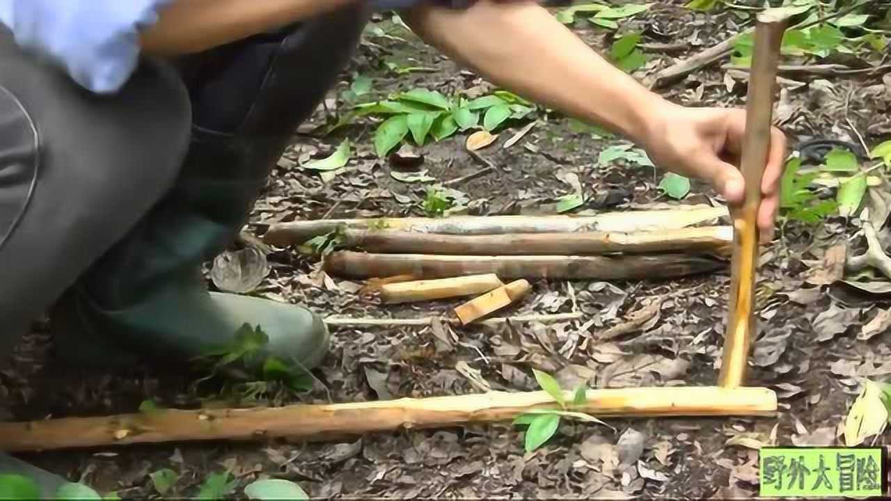 野外求生製造一個捕獵陷阱_騰訊視頻