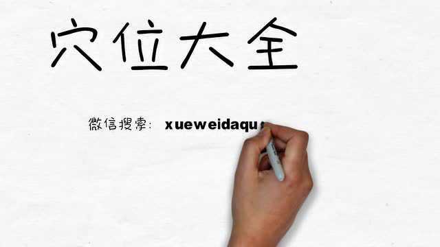 穴位大全:太渊准确位置图_腾讯视频