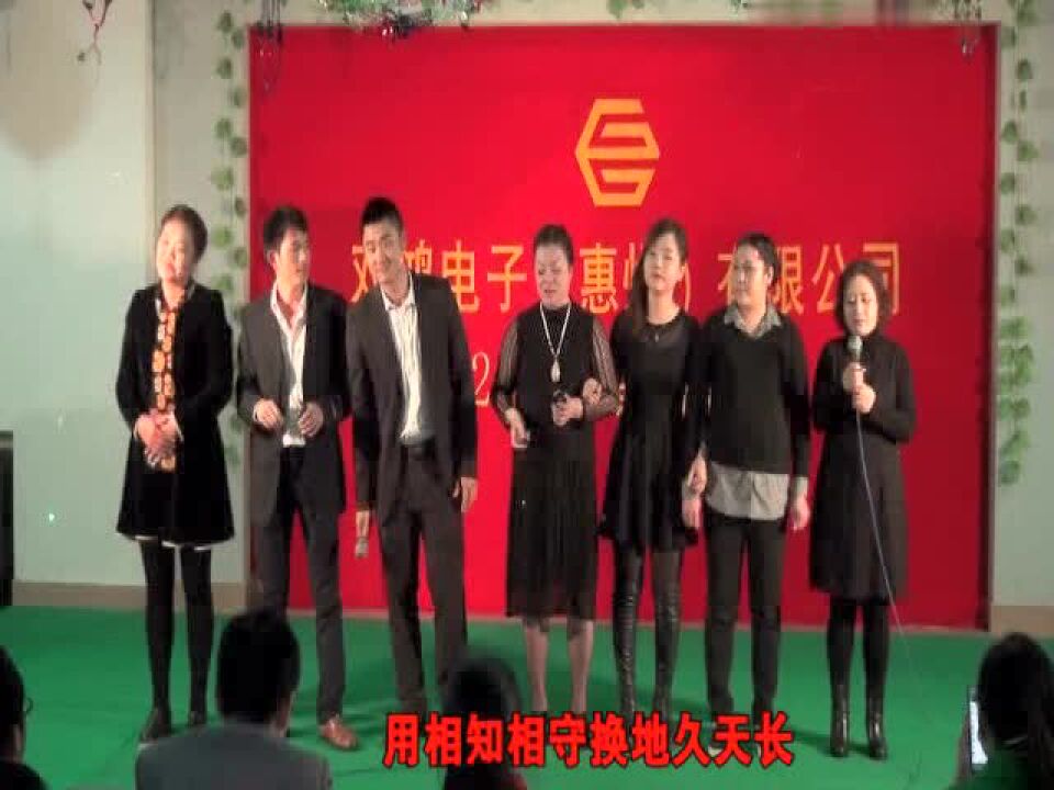 双鸿电子2017新春晚会第七集_高清1080P在线观看平台_腾讯视频