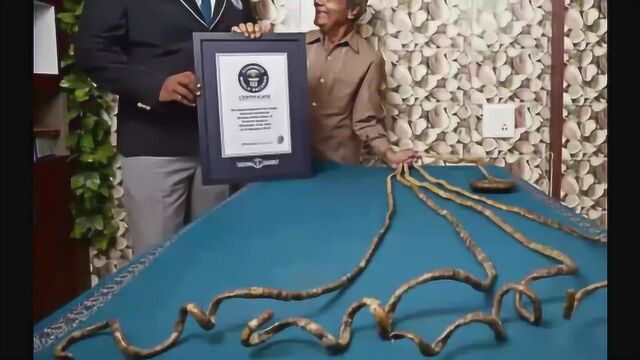 单手指甲最长的人,男子64年没剪过指甲