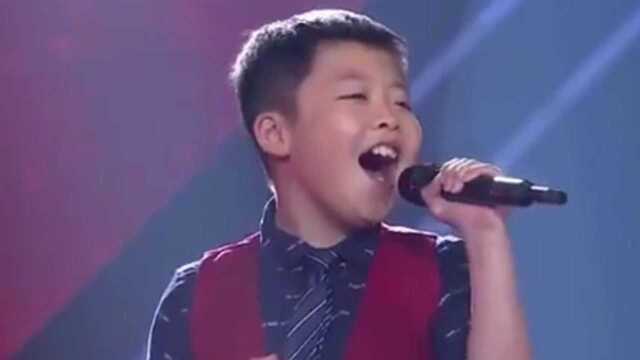 中国小男孩李成宇凭借一首tellmewhy让外国评委全体起立叫好