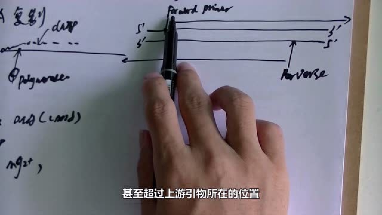pcr原理讲解_高清1080P在线观看平台_腾讯视频