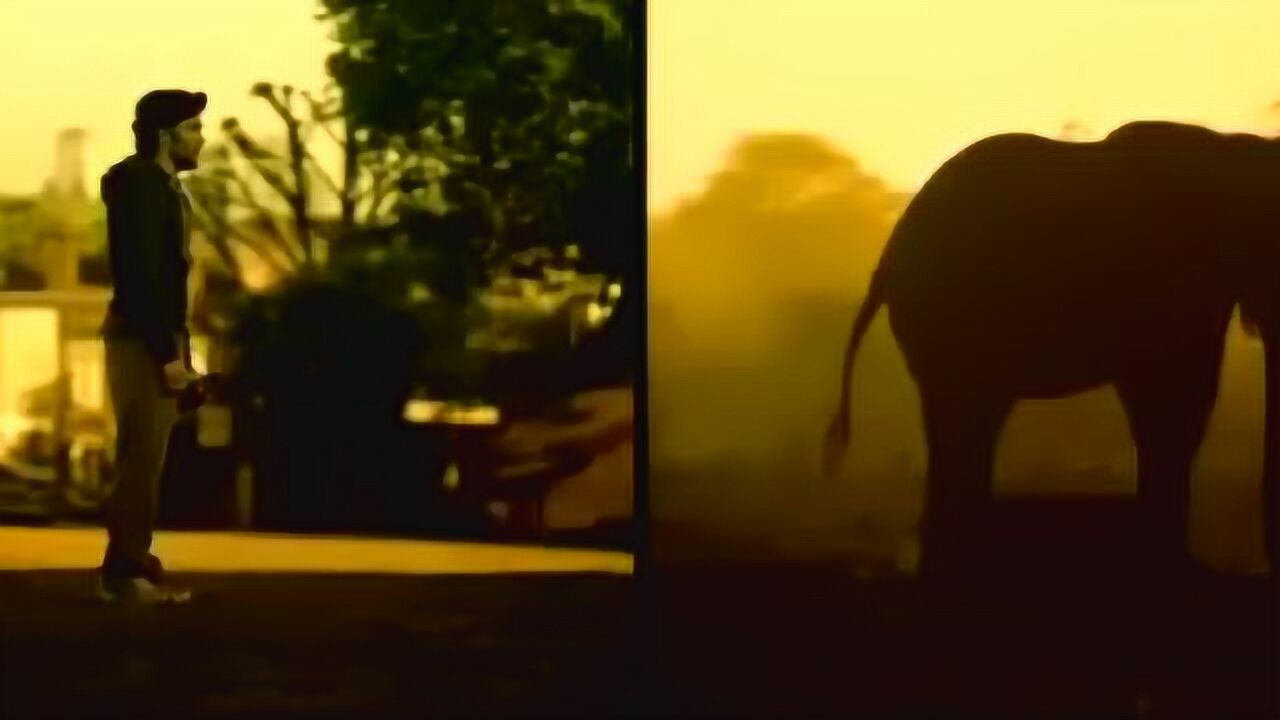 世界自然基金会WWF公益广告_腾讯视频