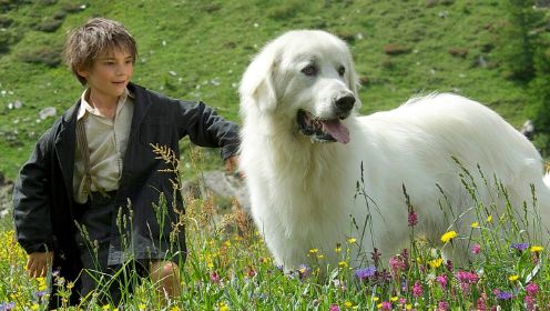 一部极具“欧美乡村”风格的唯美电影，小男孩带着可爱的雪犬流浪