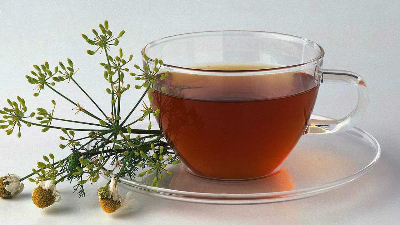 王老吉加多宝的凉茶正宗真正的凉茶在这里工序可不简单