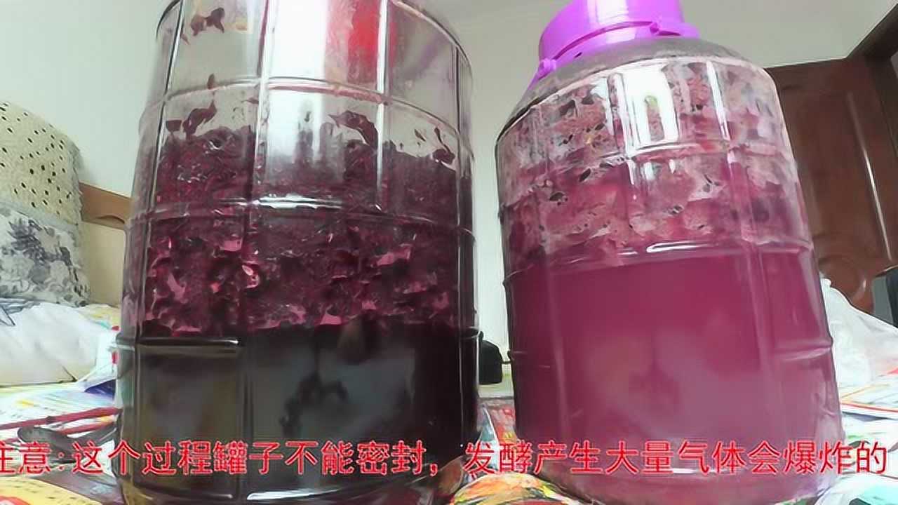 自釀葡萄酒製作視頻,製作過程快放.