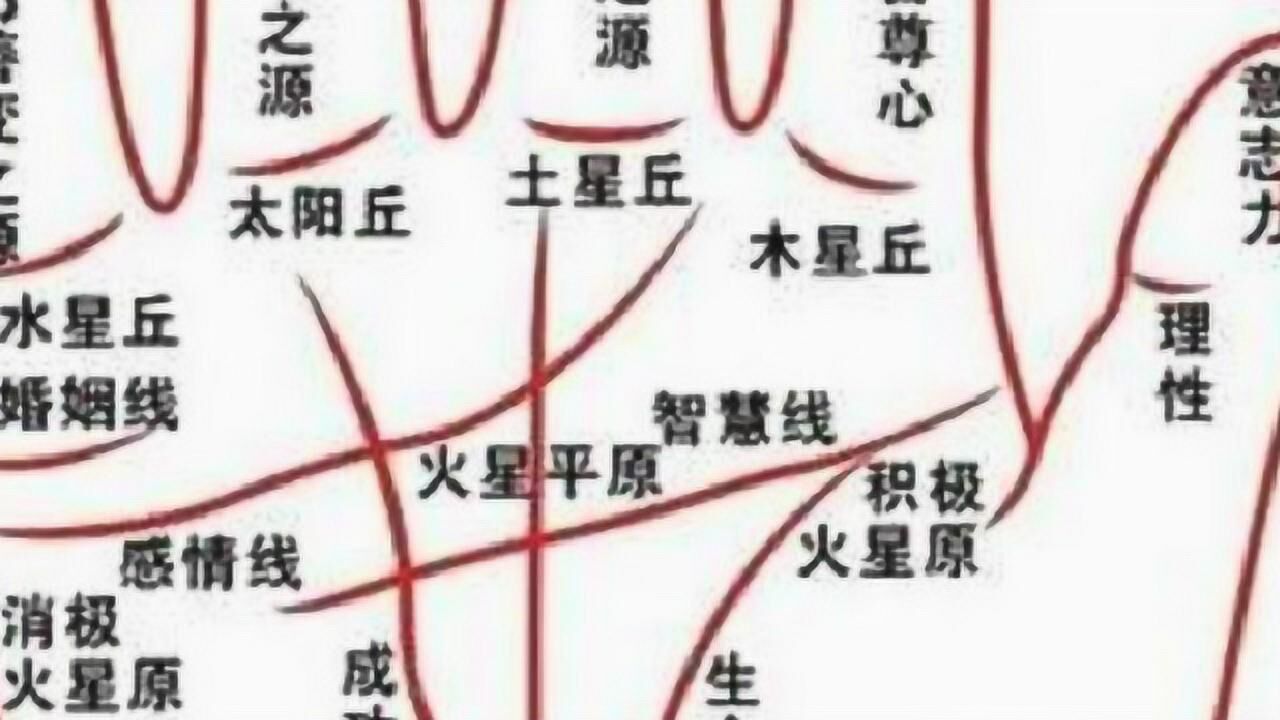 女人手相算命图解,婚姻线和双断掌手相腾讯视频}