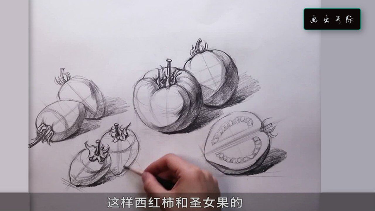 静物素描入门级教程西红柿和圣女果的结构默写