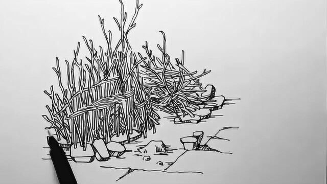 汤向钢笔画——风景速写入门教程 第一季:柴垛