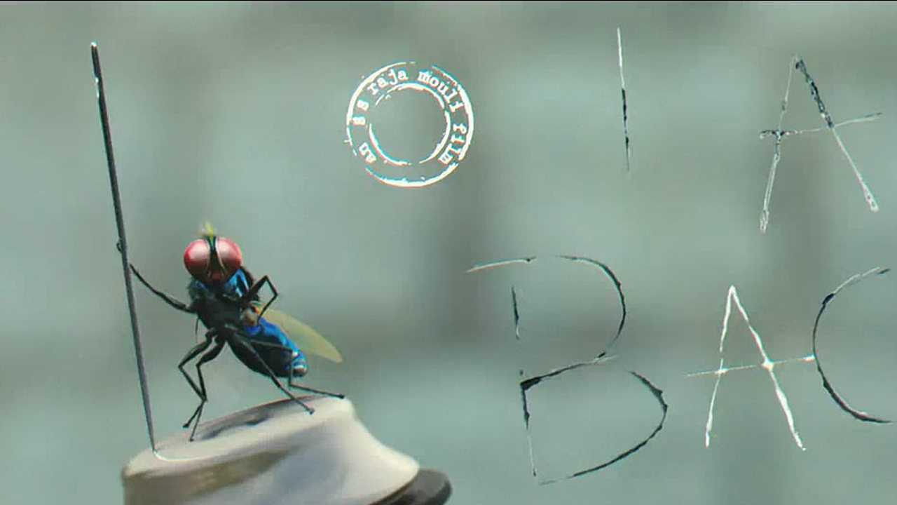 5分钟看完功夫小蝇苍蝇与人的爱情故事看完泪流满面