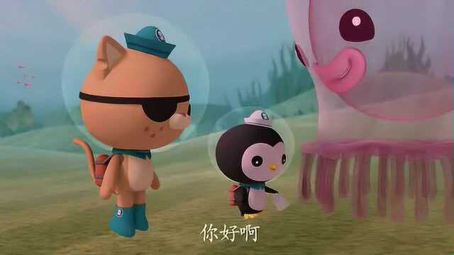 海底小纵队:梳果冻的梳齿很疼 皮医生给他治病 他把医药包吃掉了@拥