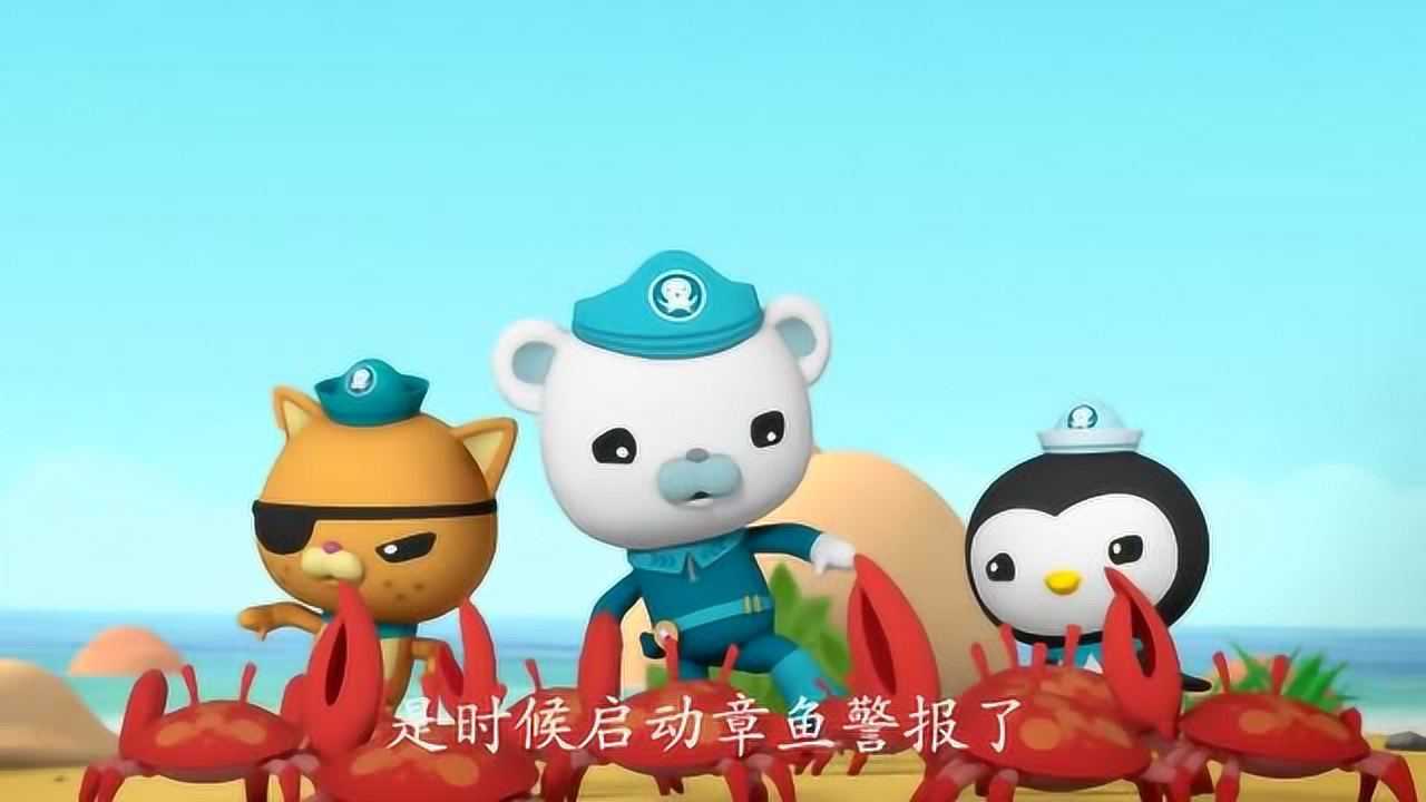 海底小纵队第二季小纵队能解得开巨枪乌贼的解手吗