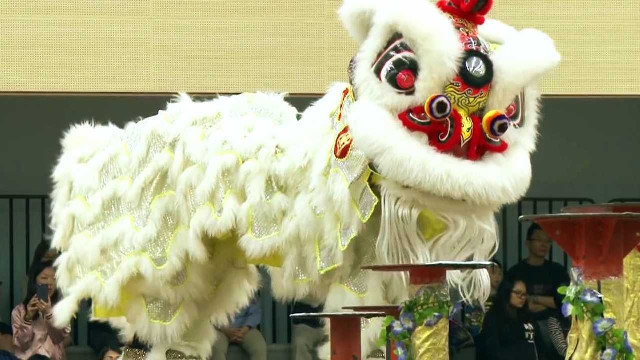 醒狮表演,专业舞狮视频欣赏_高清1080P在线观看平台_腾讯视频