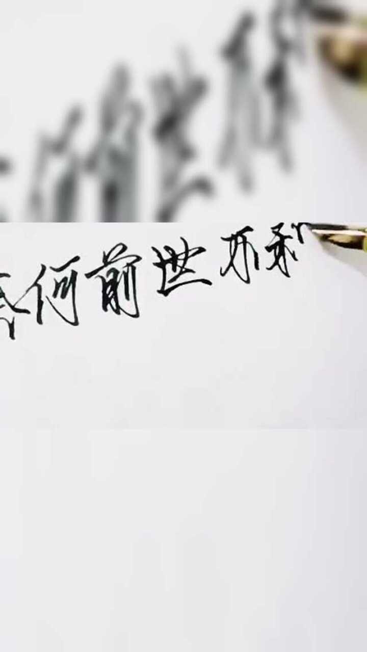 前世今生搬砖搬砖搬砖文字君文字君团队了