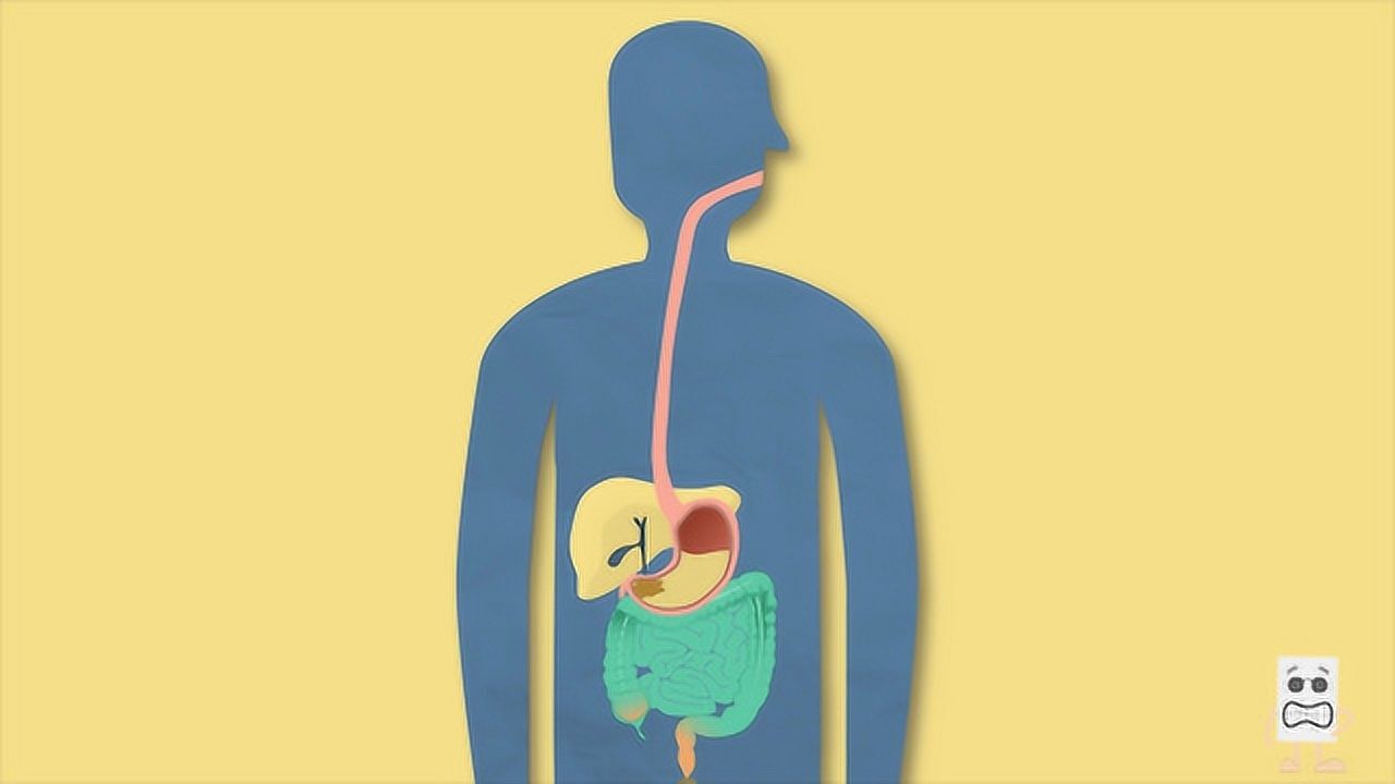 经常吃撑,胃真的会越来越大?说出来很多人不信_腾讯视频