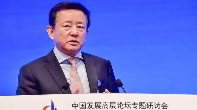 樊纲:国企入股民企应采用AB股制度