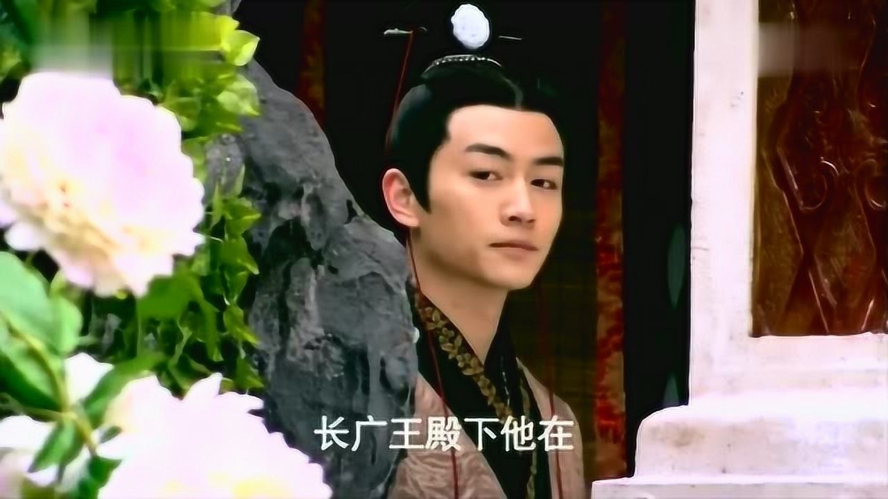 陆贞传奇元禄和沈嘉敏说了什么令远处的长广王不由的尴尬了