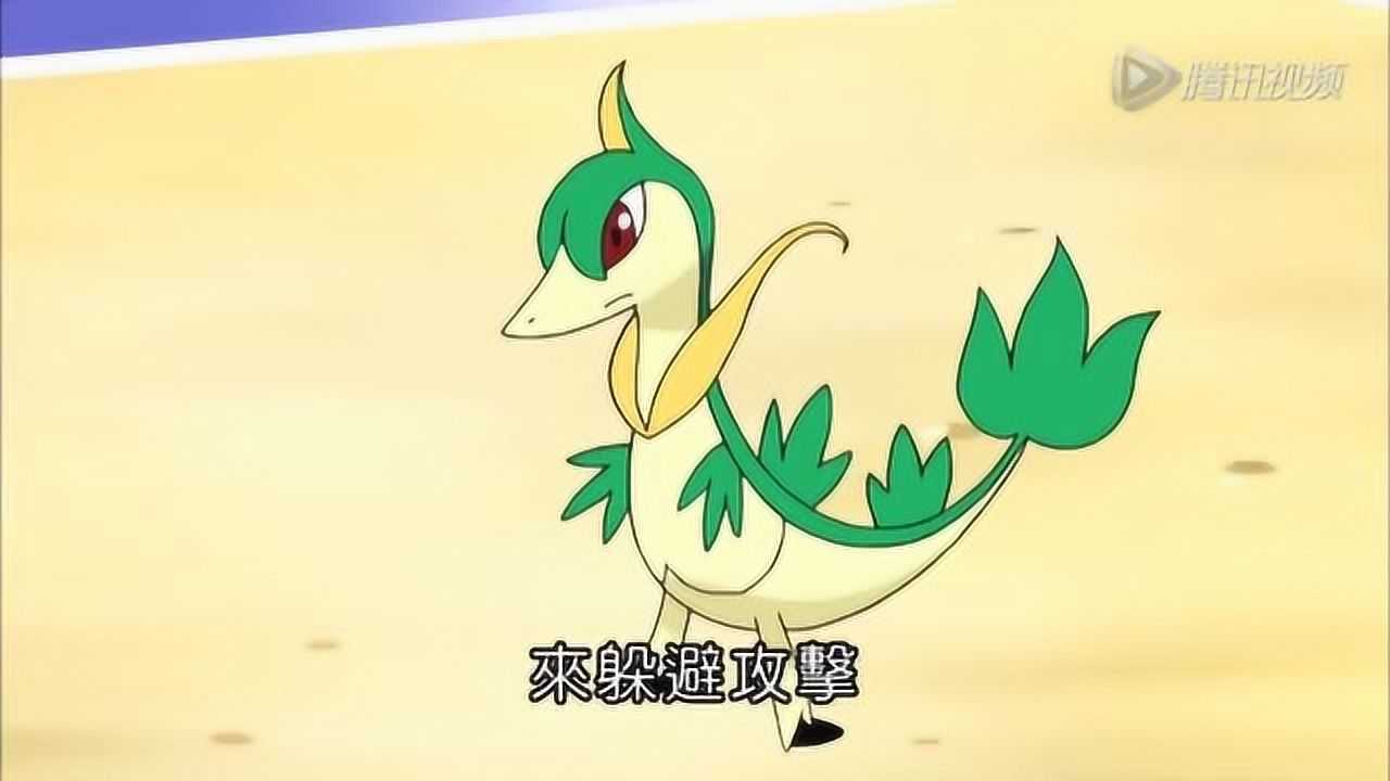 精灵宝可梦藤藤蛇的进化型青藤蛇水水獭的进化型双刃丸