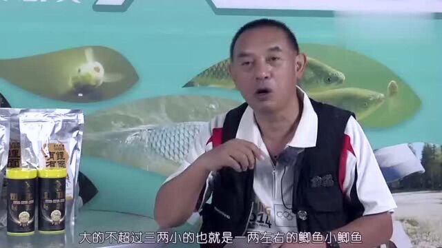 面筋还能钓鱼?没想到这么好用