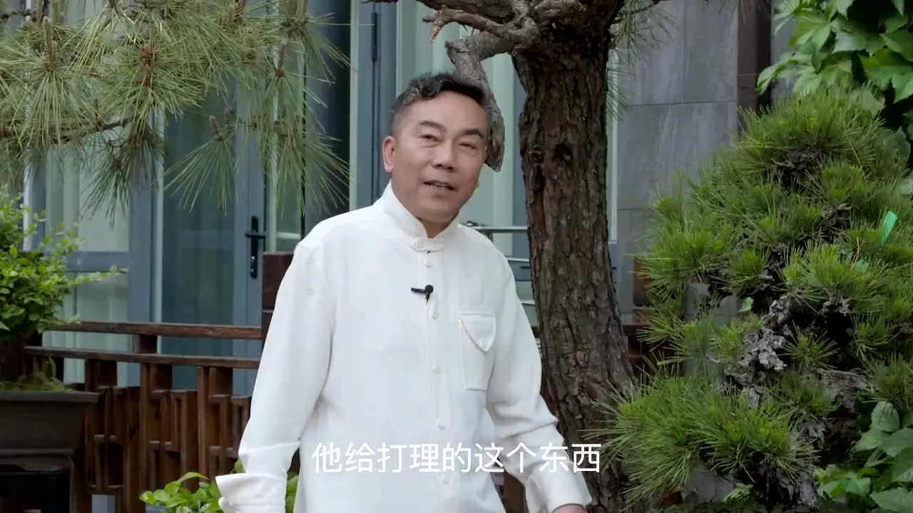 议想天开之杨议单口相声聊盆景生活中的美妙情趣