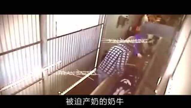 一群女人囚禁小黑屋, 被迫生子产奶, 再把她们产的奶水做成护肤乳