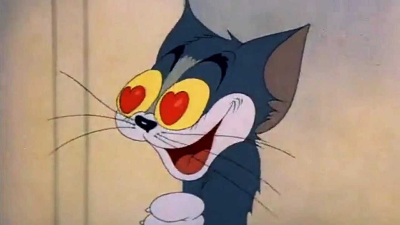 《猫和老鼠》tom遇见了他的女神猫猫,气氛瞬间变成粉红色!