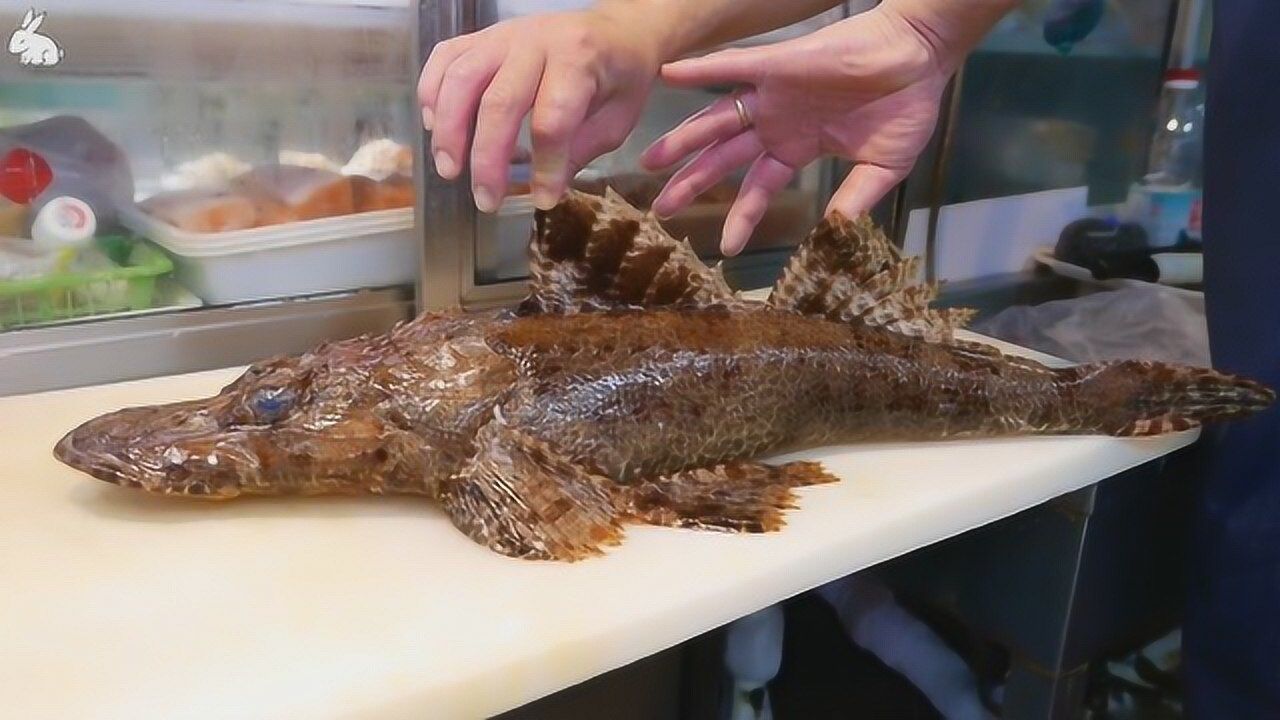 美食烹饪:鳄鱼鱼刺身生鱼片寿司