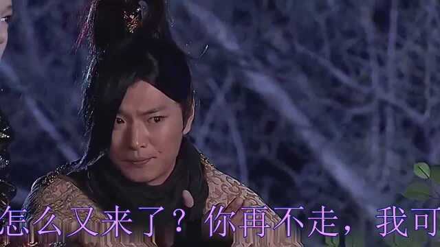 天地姻缘七仙女《飞鸿印雪剑三》欢快好听