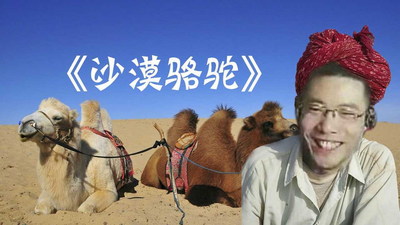 芜湖大司马翻唱骆驼沙漠观众现在的小青年都怎么了麻瓜主播
