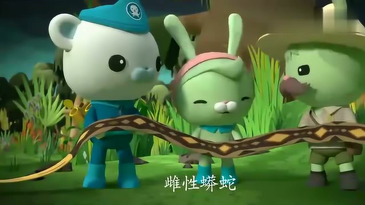 海底小纵队与沼泽大搜救,沼泽游侠抓捕缅甸巨蟒,发现巨蟒宝宝