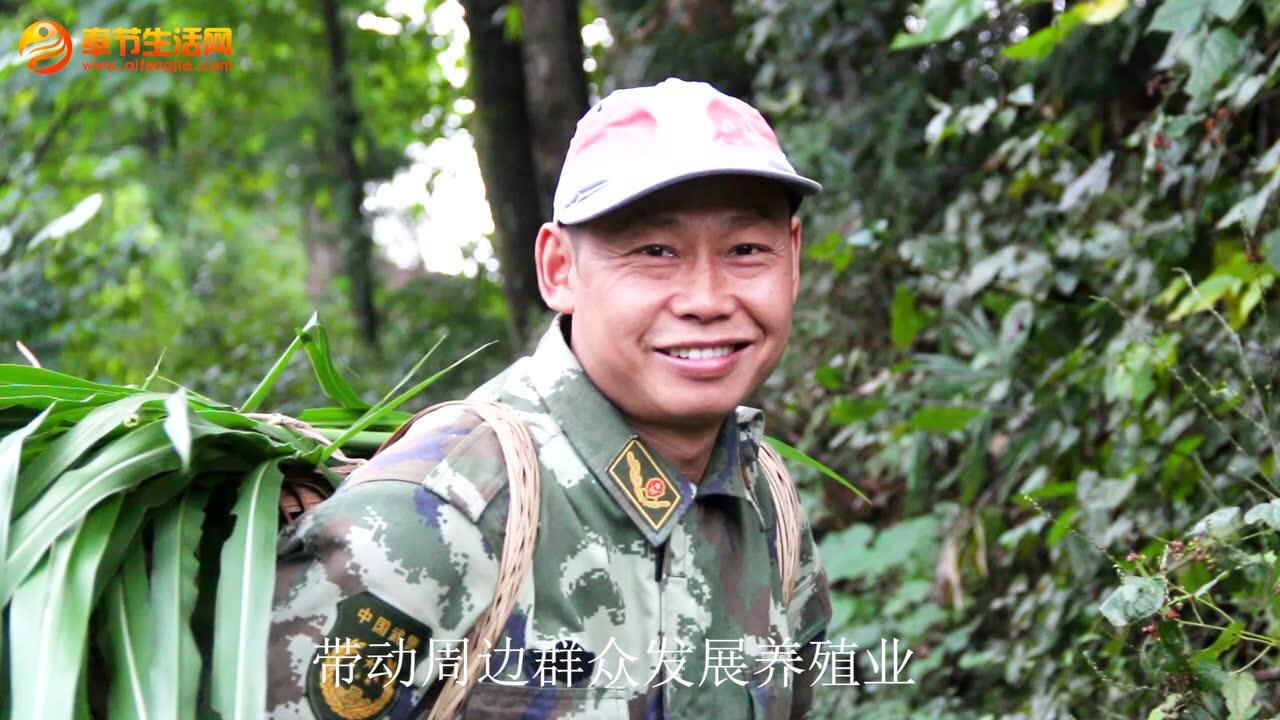 王子林——王子林黑豚饲养专业合作社_高清1080P在线观看平台_腾讯视频
