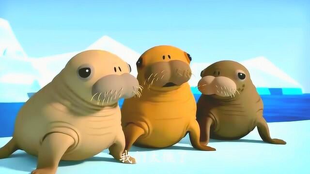 海底小纵队第四季:遇到了危险,为何小海象都不肯离开呢