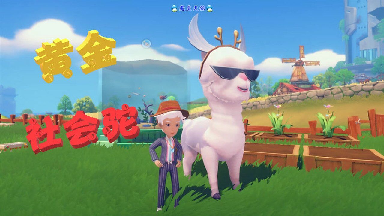 天铭波西亚时光64捕捉强力坐骑很好很强大