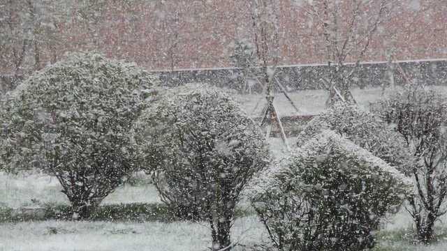 强冷空气再次袭来 新疆阿勒泰地区迎来大雪