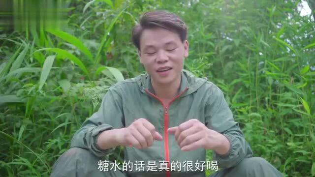 丛林之家:南瓜香芋闻着有种恋爱的味道