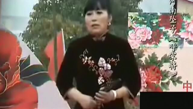 河南坠子胡银花这段《呼家将》不比姐姐逊色