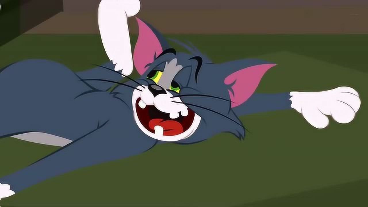 猫和老鼠一命猫和灵魂猫联手复仇对付小老鼠杰瑞