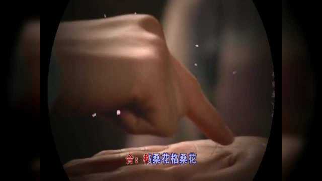 好听!《美丽的格桑花》草原歌曲,大气悠扬,听了很多遍!