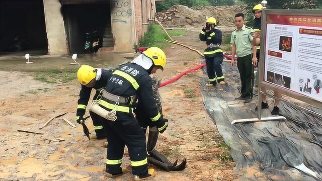 电动车火灾触目惊心 科技手段消灭“火魔”