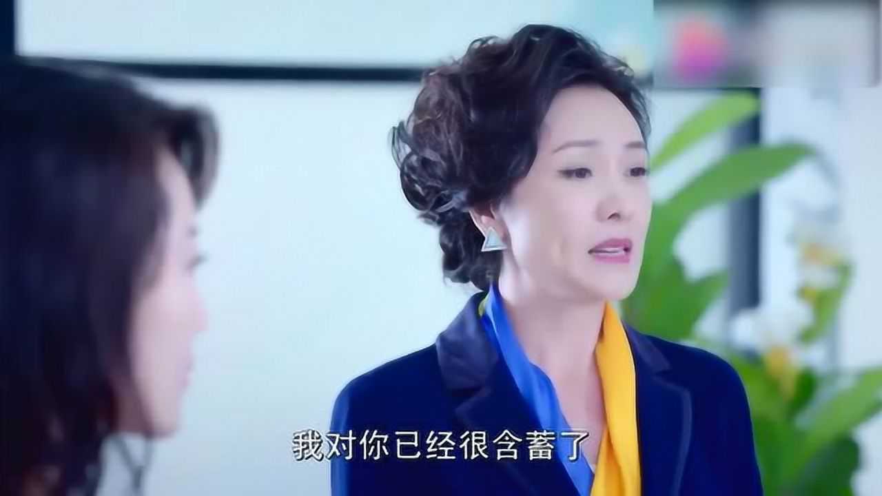 《狐狸的夏天》顾太太张口闭口说他的不好